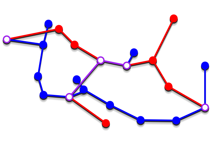 Example of a red-blue-purple spanning graph