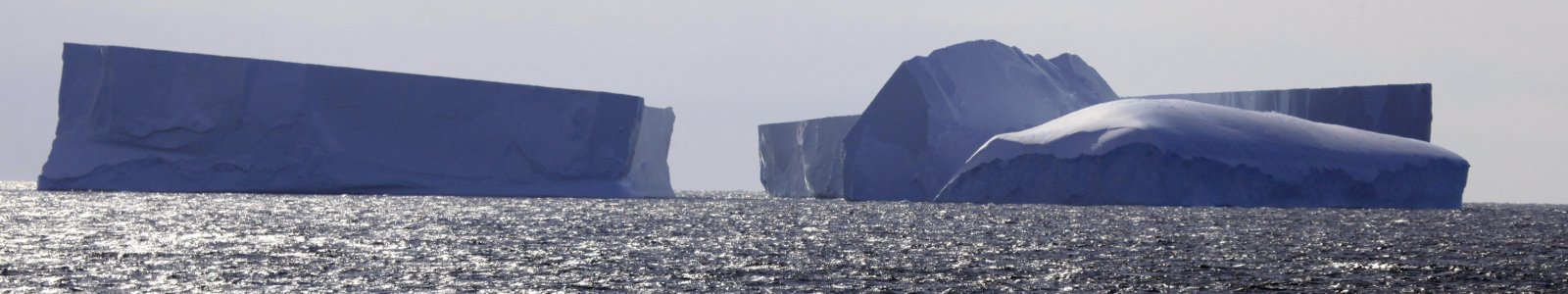 IJsbergen bij Antarctica