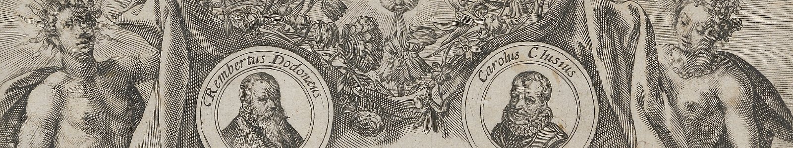 Detail titelpagina Blom-hof, Van de Passe, 1615/1616