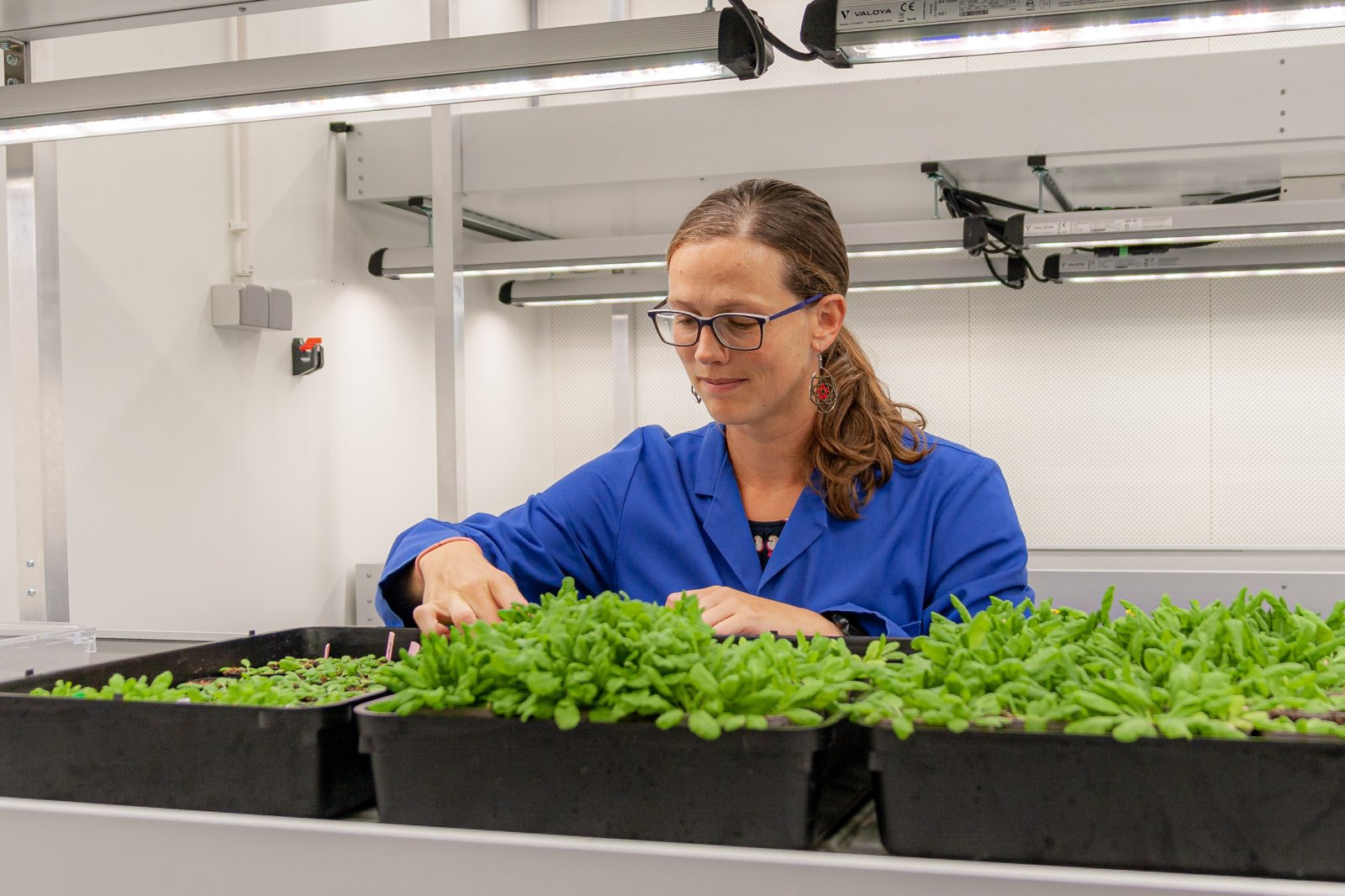 Dr. Ava Verhoeven met zandraketplanten in het lab