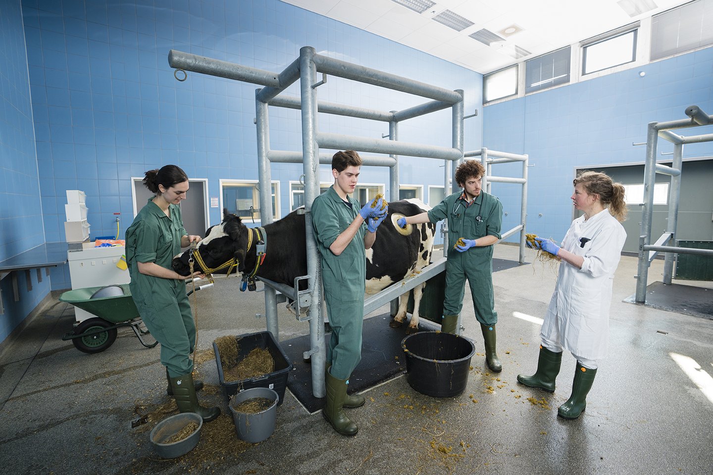 Education - Faculty of Veterinary Medicine - Utrecht University