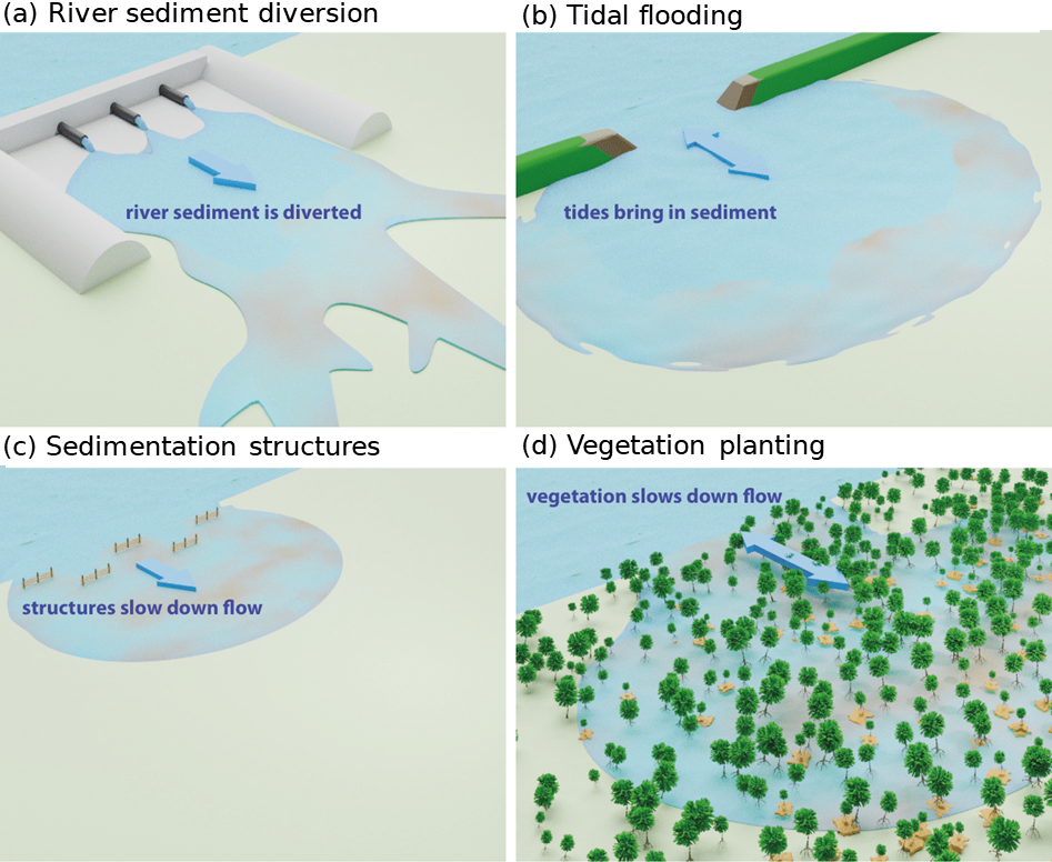 Graphic of Sedimentation Enhancing Strategies in four different processes
