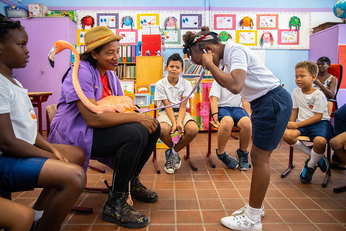 Dierenarts Odette Doest zit met Bob de flamingo op schoot in een klas vol kinderen op Curacao. Een kind luistert met de stethoscoop naar het hart van Bob.