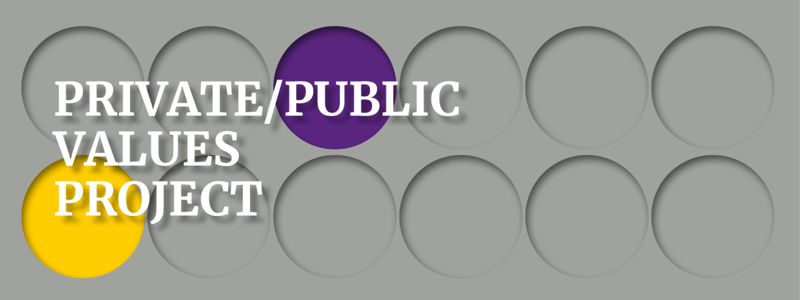 grey graphic header with grey circles, one yellow circle, one purple circle and text overlay 'PRIVATE/PUBLIC VALUES PROJECT'