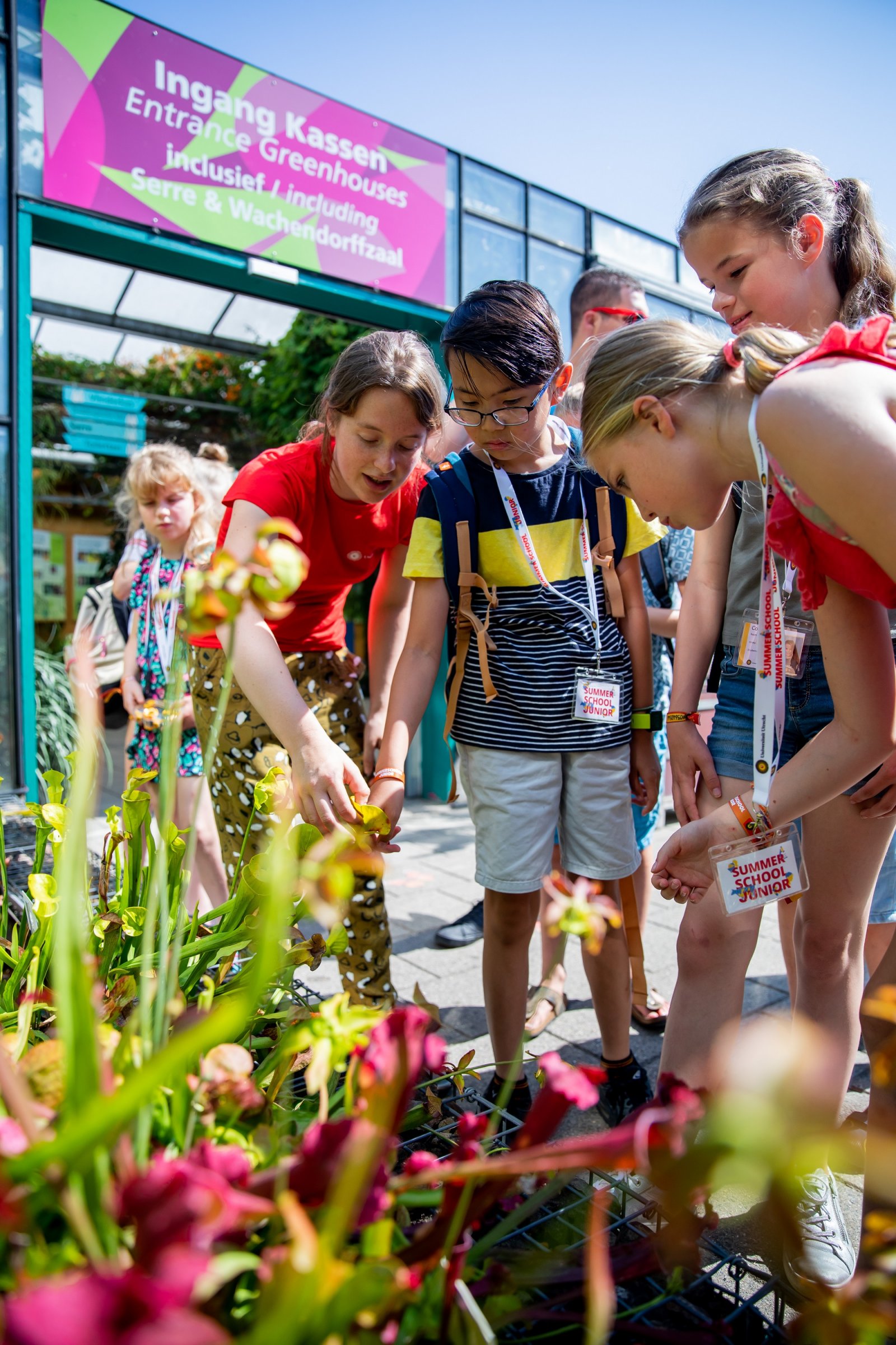 Deelnemers van Summerschool Junior bekijken planten in de Botanische Tuinen