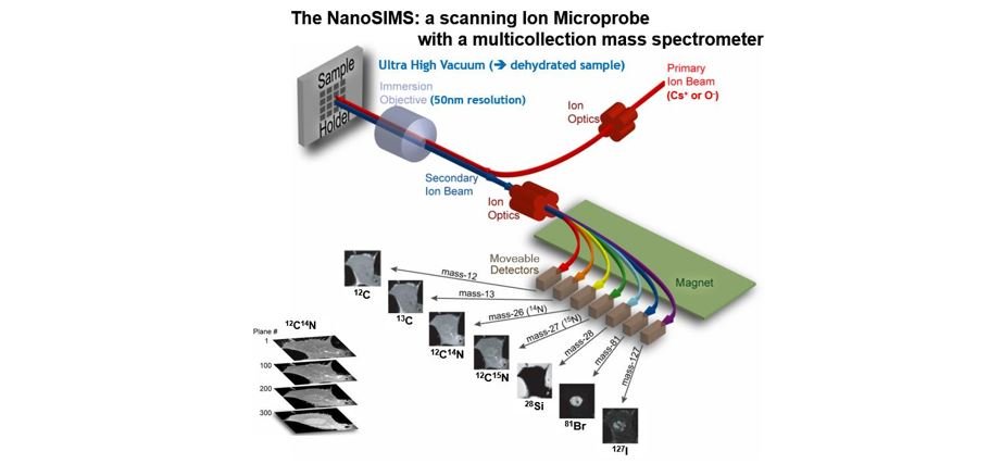 Picture showing how the NanoSims works