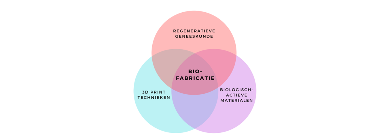 Overzicht van vakgebieden die samenkomen bij biofabricatie