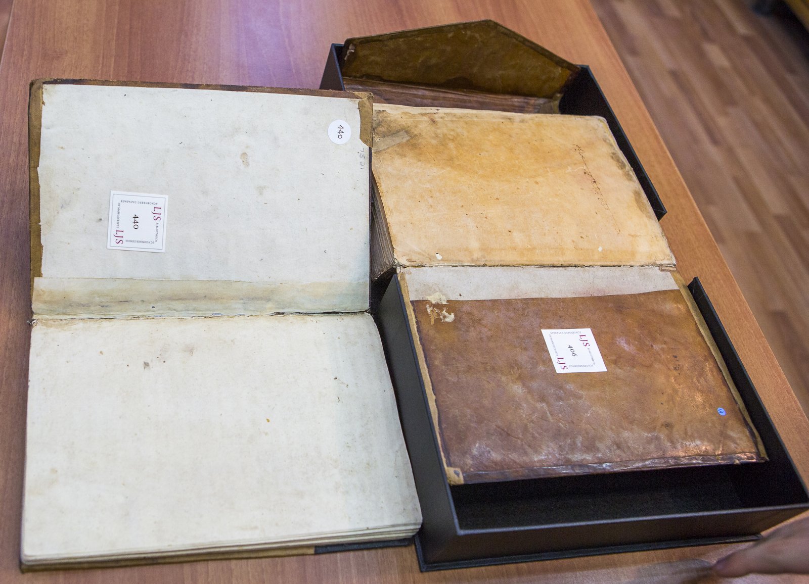De teruggevonden manuscripten