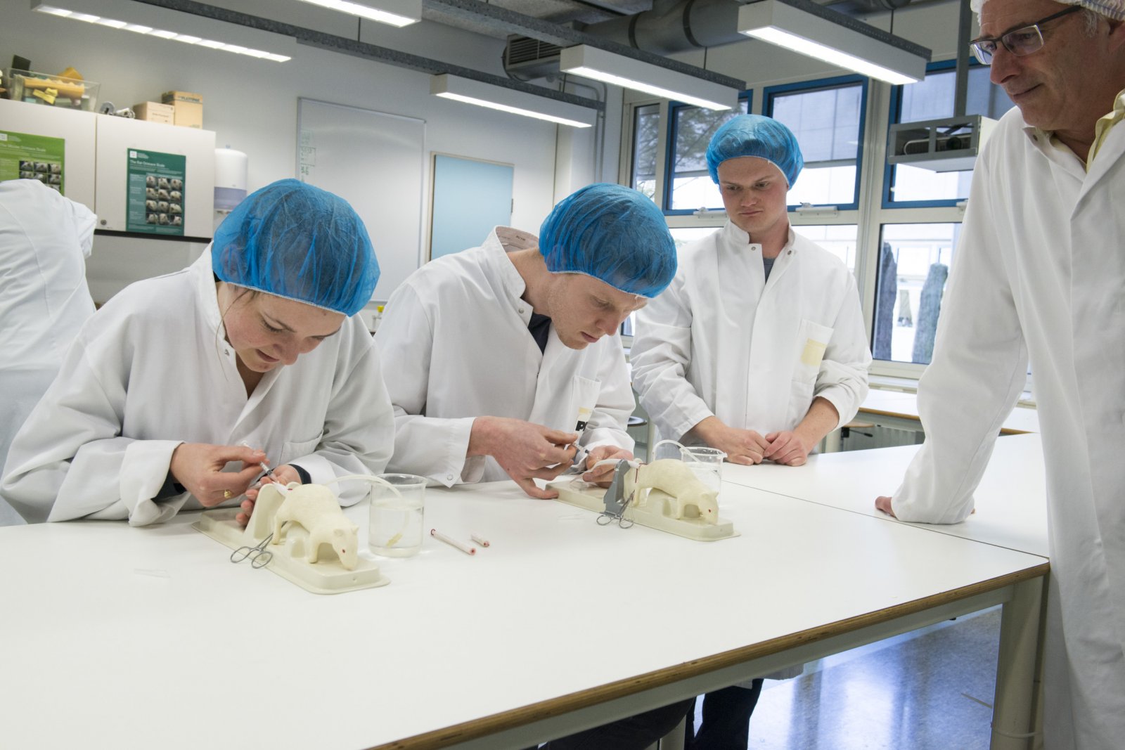 Laboratory Animal Science - Continuing Education - Utrecht University