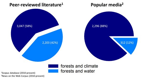 In de wetenschappelijke literatuur wordt ongeveer evenveel aandacht besteedt aan bosbeheer vs. klimaat en bosbeheer vs. watermanagement. Maar in populaire media zijn de verhoudingen volledig anders. Beeld: Jaivime Evaristo