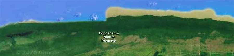 Satellite image of the Suriname coast close to Coppename showing the mangrove ecosystem and the high mud concentrations in the ocean water. Source: Google Maps. 