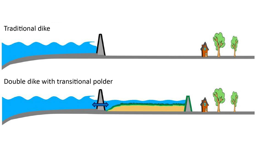 Figure of a conceptual comparison between a traditional dike and an ecosystem-based solution with a transitional polder between two dikes