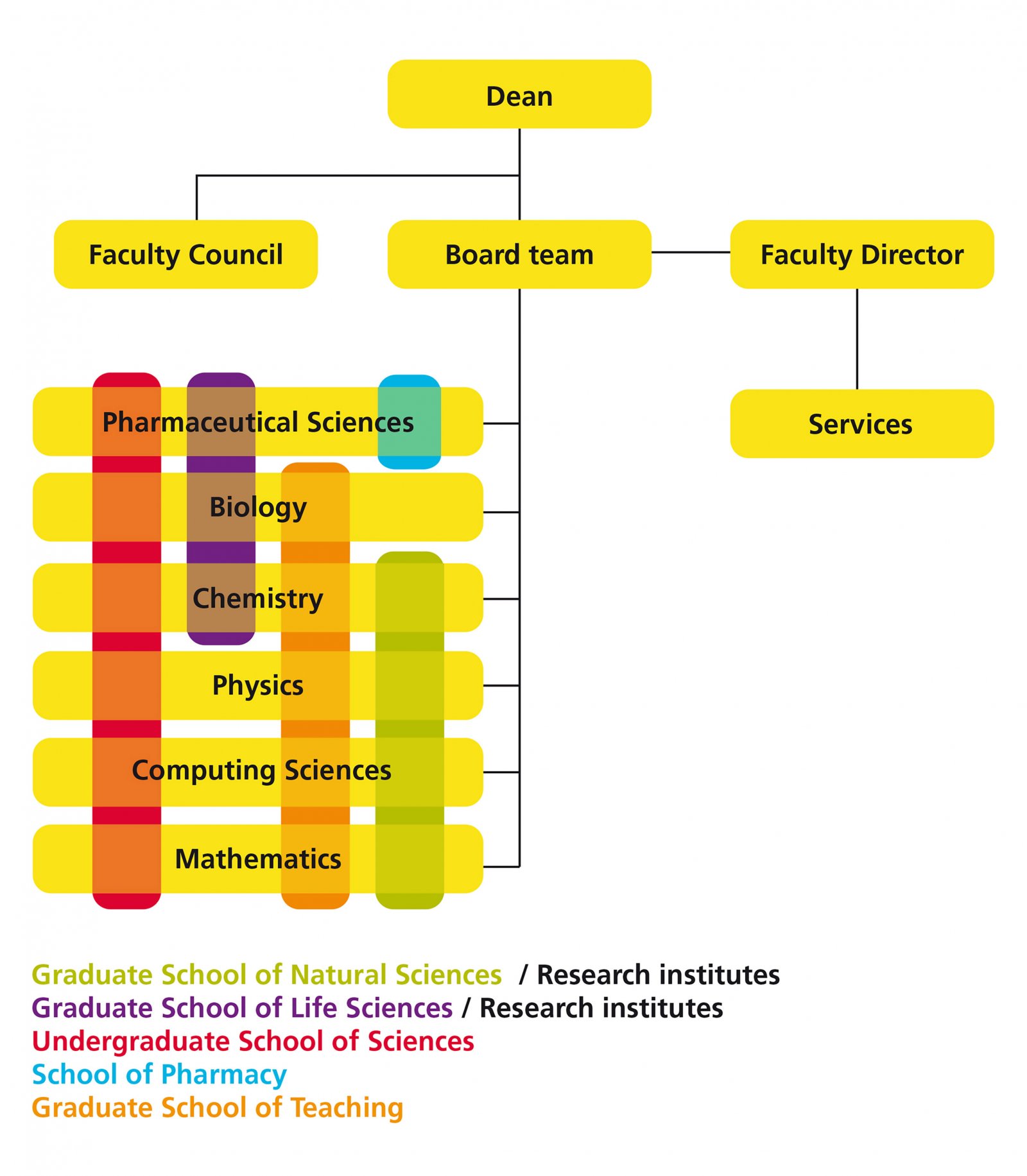 Organisation chart Faculty of Science