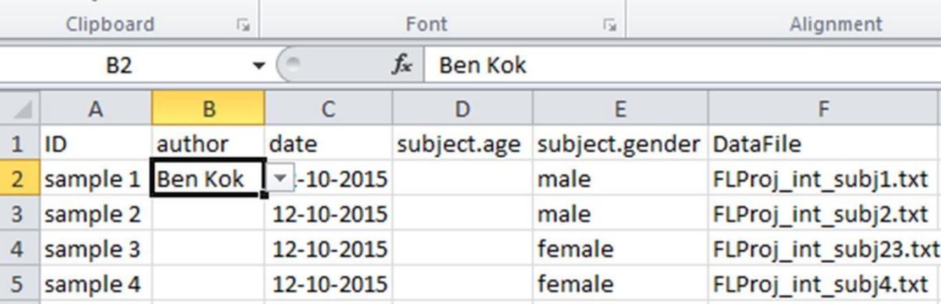 Example metadata sheet in Excel.