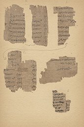 Koptische collectie-Ms. 10 D 1, Collection of Demotic, Greek and Coptic manuscripts
