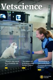 Coverbeeld van Vetscience nr. 15 met een witte puppy in een glazen kooi en een radiologisch assistent ernaast die contact maakt met het dier