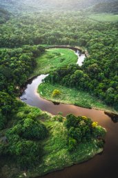 Meandering river in the Amazon forest as seen from above.