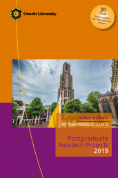 DINS Postgraduate Research Projects 2019_front