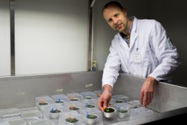 Martijn van Zanten, Molecular Plant Physiology
