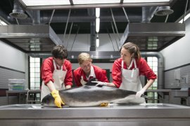 strandingsonderzoek, drie medewerkers van diergeneeskunde leggen een bruinvis op de sectietafel