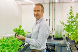 Guido van den Ackerveken with plants in lab