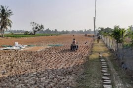 Local farmer working on his field in Sundarban Delta