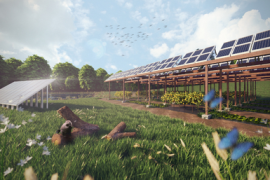 Meadow with solar panels