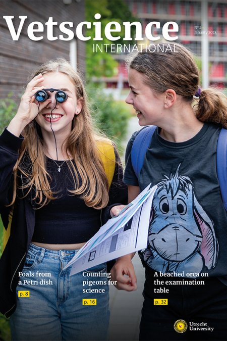 Cover Vetscience International 2023 with two young student looking for pigeons on the street