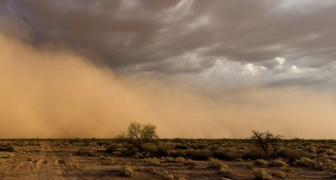 Stofstorm ontmoet dreigende wolken in woestijn van Arizona