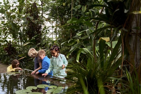 Vier kinderen in de tropische kassen van de Botanische Tuinen