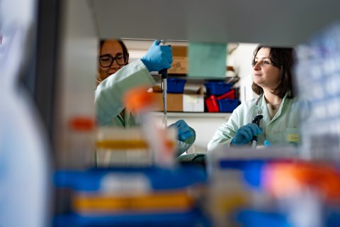 Agathe working with a colleague in a lab
