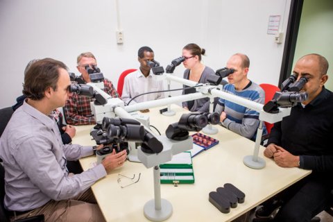 Groep onderzoekers kijkt door microscoop