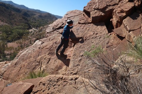 Geoloog dr. Alex Liu van de Universiteit van Cambridge op veldwerk in de Flinders Ranges
