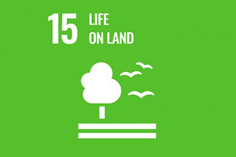 Sustainable development goal 15: Life on land