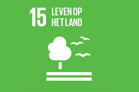 SDG 15 Leven op het land (icoon)