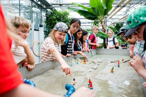 In de Botanische Tuinen aan de slag met rivieren en modderstromen tijdens Summerschool Junior
