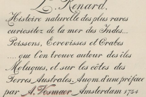 Handgeschreven titelpagina in het Utrechtse exemplaar van Renards 'Natuurlyke Historie', 1782
