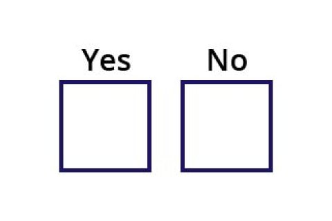 two tick boxes with yes and no written above