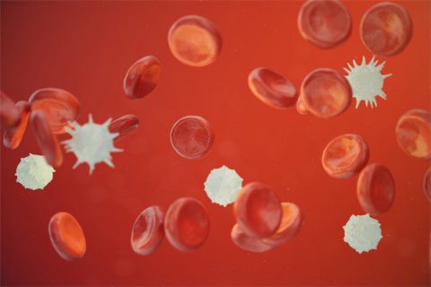 Platelets involved in coagulation and host defence, possibly also in case  of corona - News - Utrecht University