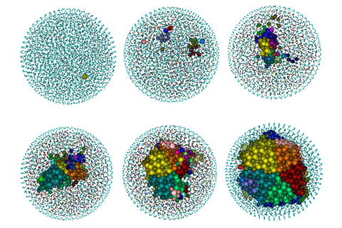 Nucleation and growth of a simulated cluster of 5001 particles