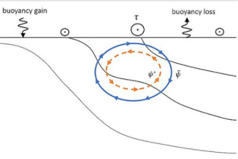 Schematic response of the Eulerian cell and eddy overturning circulation driven by wind stress ({\displaystyle \tau }\tau ) and buoyancy fluxes in the Southern Ocean. The thin black lines represent the isopycnals, which slope down toward Antartica. The Eulerian mean cell ({\displaystyle {\overline {\psi }}}{\displaystyle {\overline {\psi }}}) rotates clockwise and counteracts the eddy induced circulation which rotates counterclockwise.