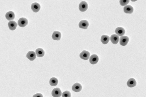 silica shell nano particles