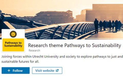 LinkedIn Pathways to Sustainability