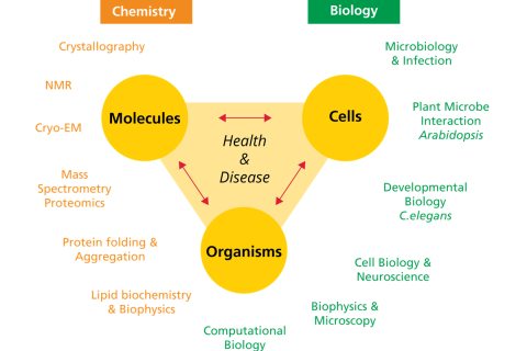 MCLS - the molecular and cellular life sciences philosophy