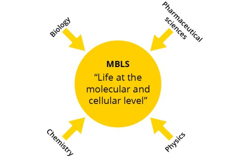 'Life at the molecular and cellular level' - MBLS Interdisciplanary Philosophy