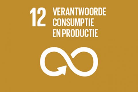 Sustainable development goal 12: Verantwoorde consumptie en productie (icoon)