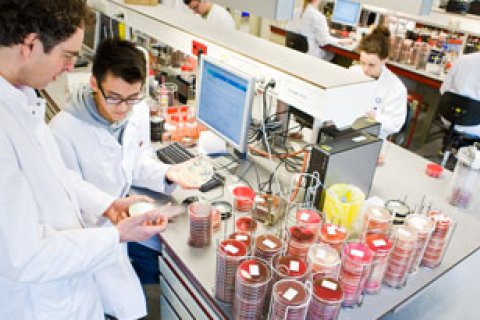 Onderzoekers in lab bij Life Sciences