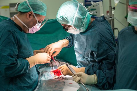 Surgeons, performing an operation