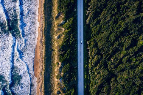 A road between the ocean and forest with one lone car driving down it