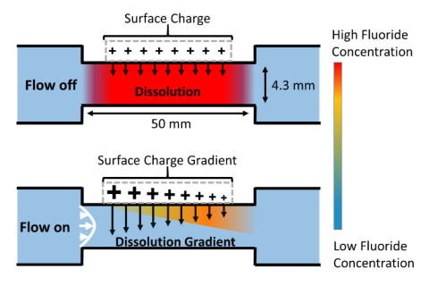 Liquid flow reversibly creates a macroscopic surface charge gradient